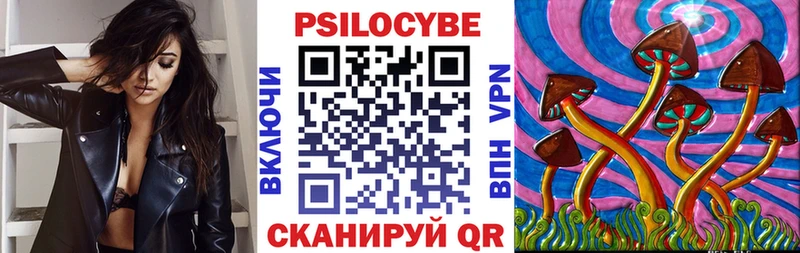 Купить Ртищево Псилоцибиновые грибы мицелий